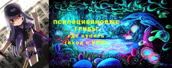 PSILOCYBIN Бугульма